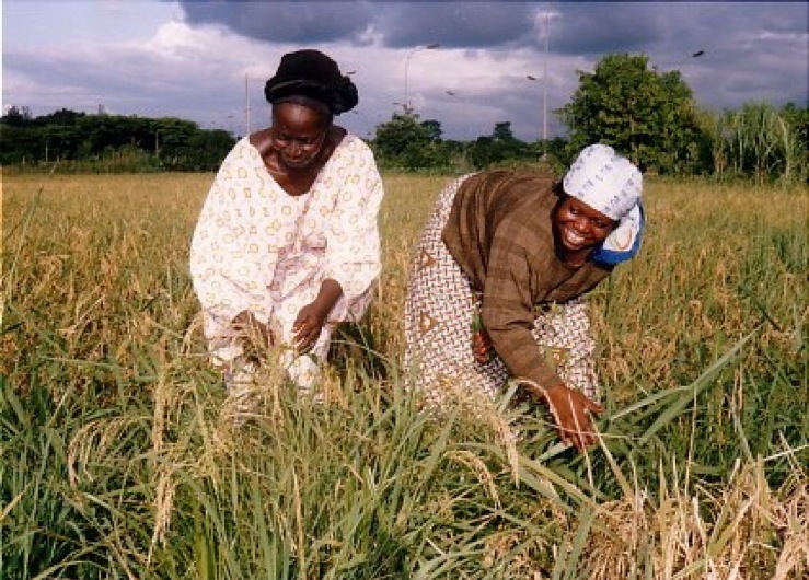 la grce des femmes